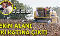Vali Sözer, Ayçiçeği Hasadında