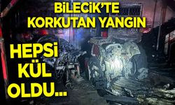 Bilecik’te Korkutan Yangın: Hepsi Kül Oldu...