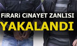 FİRARİ CİNAYET ZANLISI YAKALANDI