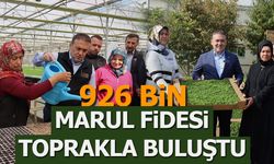 926 Bin Marul Fidesi Toprakla Buluştu