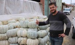 Ata tohumu ile üretilen Eskişehir’in meşhur kabağının hasadı başladı