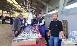Balık bollaştı, fiyatlar düştü