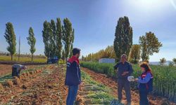 Çiftçilerle ürün verimliliği görüşüldü