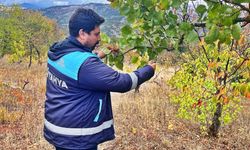Emet’te uydu takibi yapılan arazilerde fiziki kontroller yapıldı