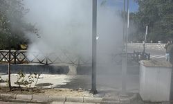İlaçlama faaliyetini yangın sandılar