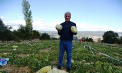 Kütahya’da ’Göncek Kavunu’nun hasadı başladı