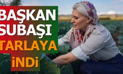 Başkan Subaşı Tarlaya İndi
