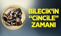 Bilecik'in ''Cincile'' zamanı