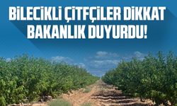 Bilecikli Çitfçiler Dikkat