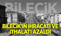 Bilecik’in ihracatı ve ithalatı azaldı