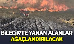 BİLECİK'TE YANAN ALANLAR AĞAÇLANDIRILACAK