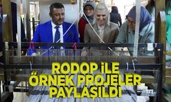 RODOP İLE ÖRNEK PROJELER PAYLAŞILDI
