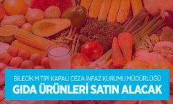 GIDA ÜRÜNLERİ SATIN ALINACAKTIR