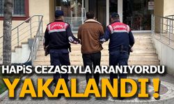 HAPİS CEZASIYLA ARANIYORDU, YAKALANDI!