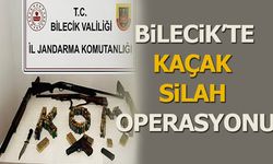 Bilecik'te Kaçak Silah Operasyonu