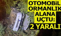 Otomobil Ormanlık Alana Uçtu: 2 Yaralı