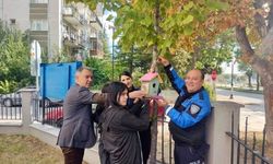 Kuş evleriyle doğaya ve farkındalığa katkı