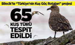 Bilecik’te "Türkiye’nin Kuş Göç Rotaları" projesi kapsamında 65 kuş türü tespit edildi