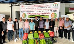 Marul Bahane, Gelecek Şahane