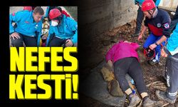 Bilecik’te Nefes Kesen Tatbikat