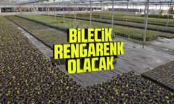 Bilecik rengarenk olacak