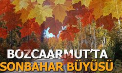 BOZCAARMUT'TA SONBAHAR BÜYÜSÜ