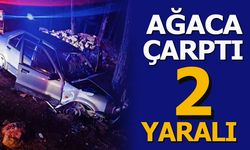 AĞACA ÇARPTI 2 YARALI