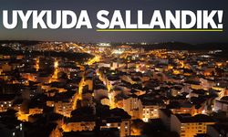 Uykuda sallandık