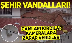 Camları kırdılar kameralara zarar verdiler