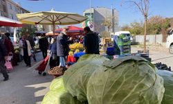 Eskişehir pazarında devasa lahanalar