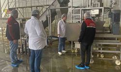 Hayvansal yem üreten işletmeye yönelik denetim