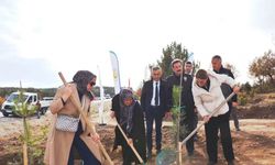 Kütahya’da şehitler için 350 fidan toprakla buluştu