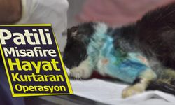 Patili misafire hayat kurtaran operasyon