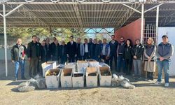 Bilecik’te 42 bin Albion dağıtıldı