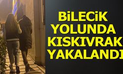 Bilecik yolunda kıskıvrak yakalandı
