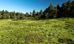 Bozüyük'ün en yüksek noktası neresi?
