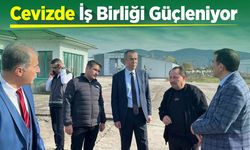 Cevizde İş Birliği Güçleniyor