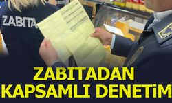 Zabıtadan kapsamlı denetim