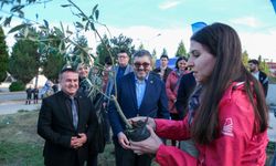 Genç TEMA’dan Kampüse 150 Zeytin Fidanı