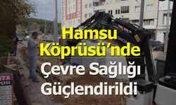 Hamsu Köprüsü’nde Çevre Sağlığı Güçlendirildi