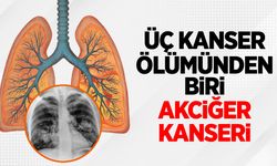 Her 3 Kanser Ölümünden Biri Akciğer Kanseri
