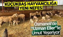 Osmaneli’de “Uzman Eller”le Umut Yeşeriyor
