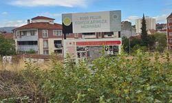 9 bin yıllık yaşam alanı otluğa döndü