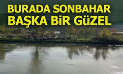 BURADA SONBAHAR BAŞKA BİR GÜZEL