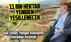 11 Bin Hektar Yeniden Yeşillenecek