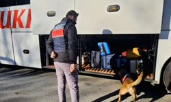 Jandarmadan İl Genelinde Huzur Hareketliliği