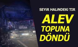 SEYİR HALİNDEKİ TIR ALEV TOPUNA DÖNDÜ
