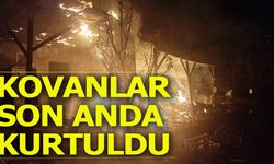 KOVANLAR  SON ANDA KURTULDU