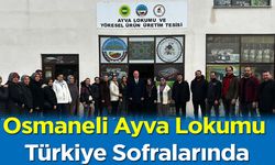 Osmaneli Ayva Lokumu Türkiye Sofralarında