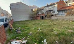 Eskişehir’de boş arsada 8 ölü kedi bulundu